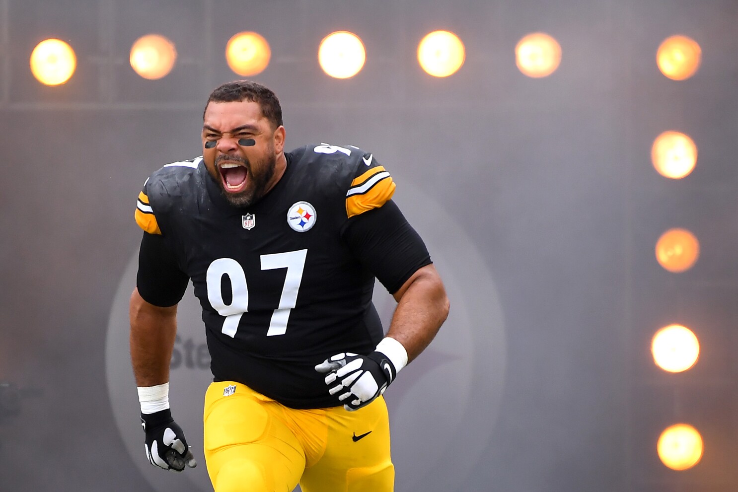 cameron heyward